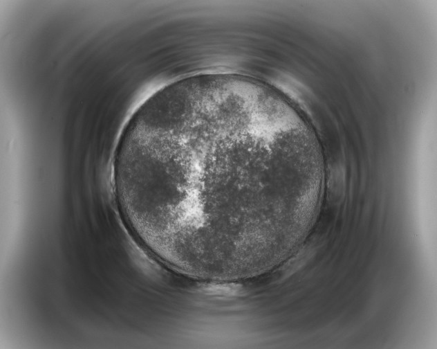 X0000087361466200704271428