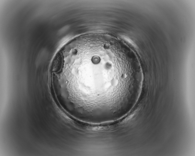 X0000087361467200704271428