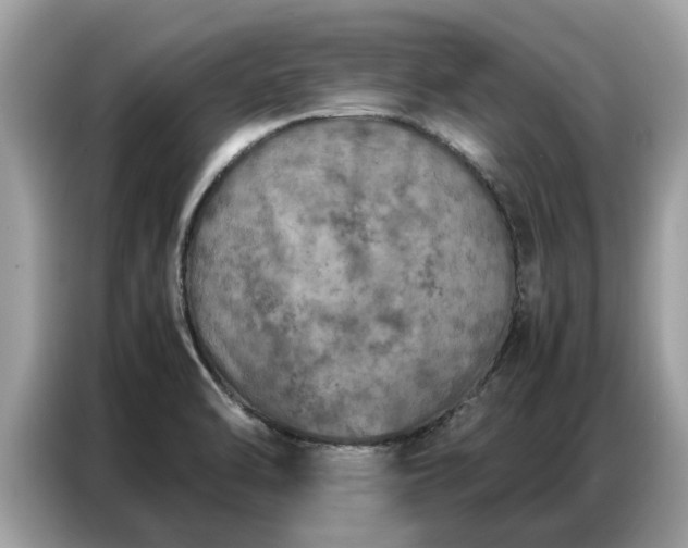 X0000087361470200704271428