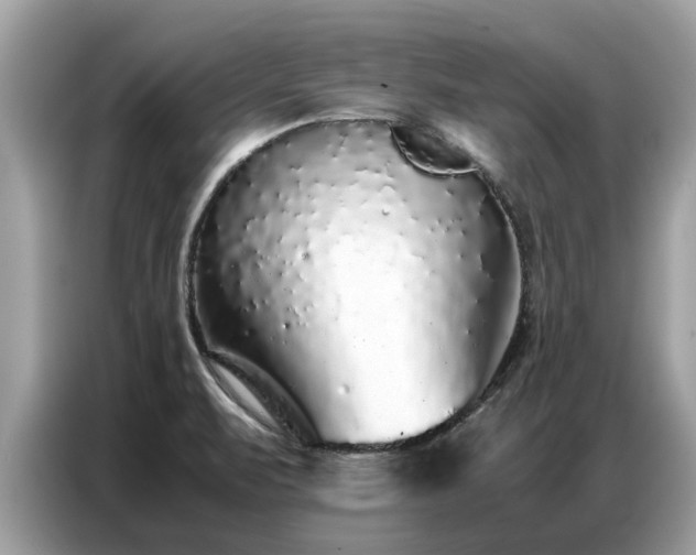 X0000087361471200704271428