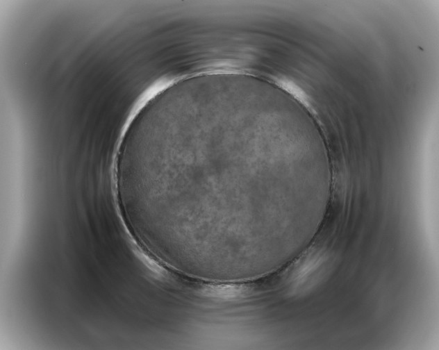 X0000087361474200704271428