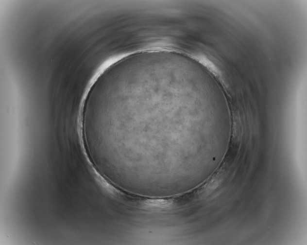 X0000087361478200704271428