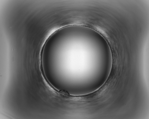 X0000087361479200704271428