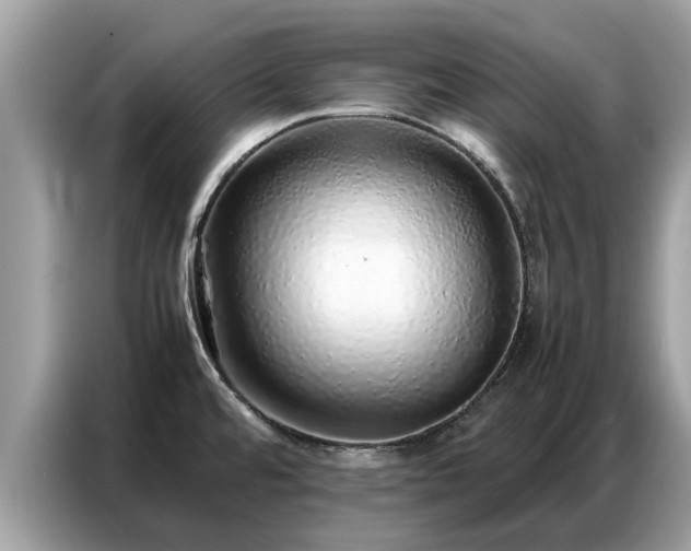 X0000087361480200704271428