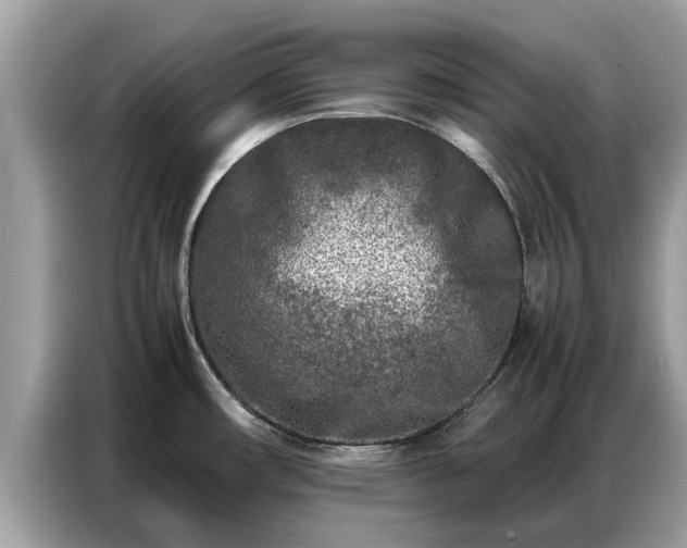 X0000087361482200704271428