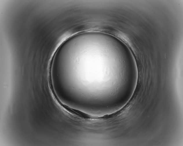 X0000087361483200704271428