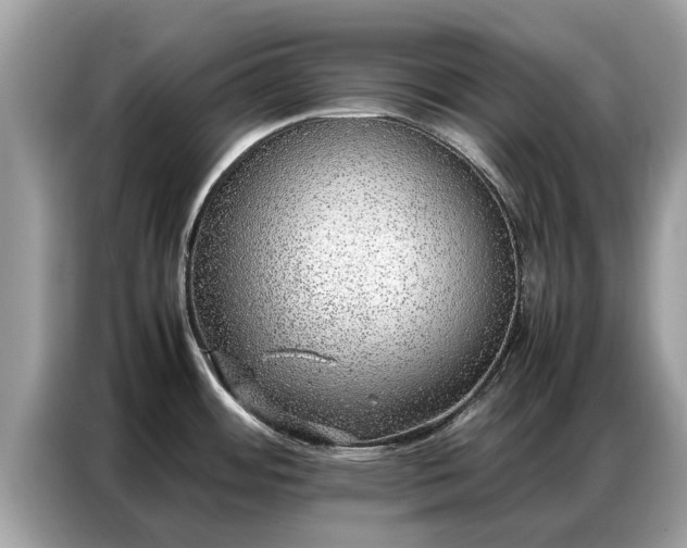 X0000087361484200704271428