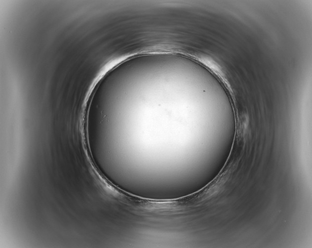 X0000087361486200704271428