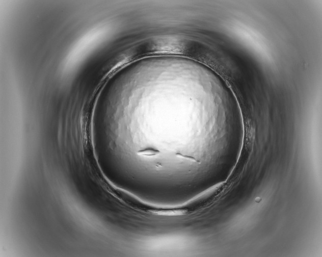 X0000087361487200704271428