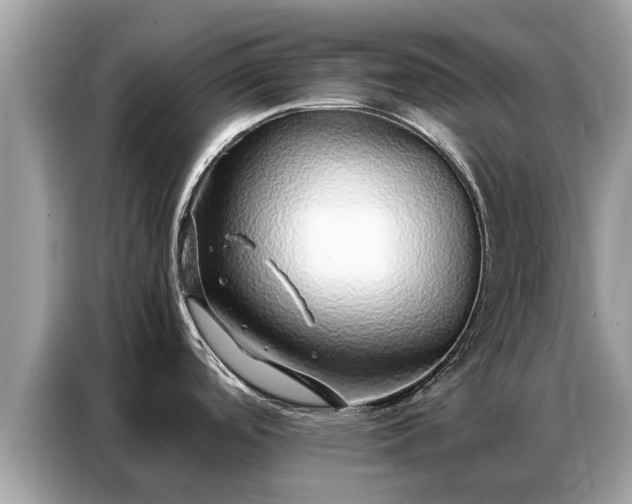 X0000087361488200704271428