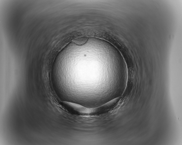 X0000087361489200704271428