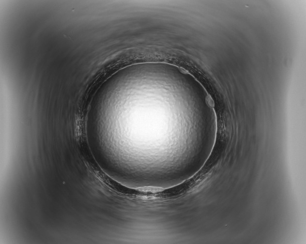 X0000087361490200704271428