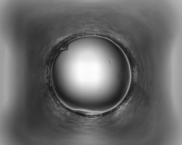 X0000087361494200704271428