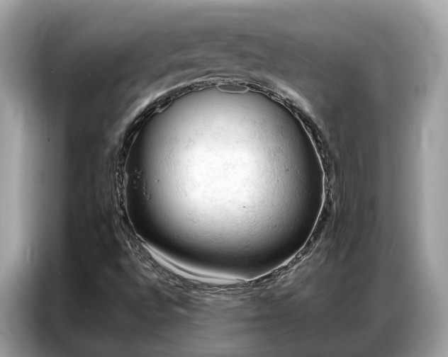 X0000087361496200704271428