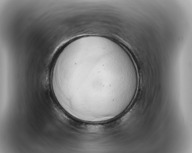 X0000087361498200704271428