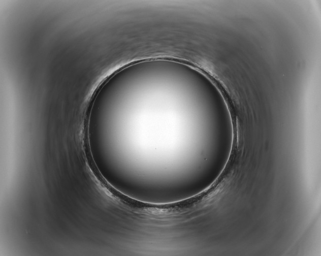 X0000087361500200704271428