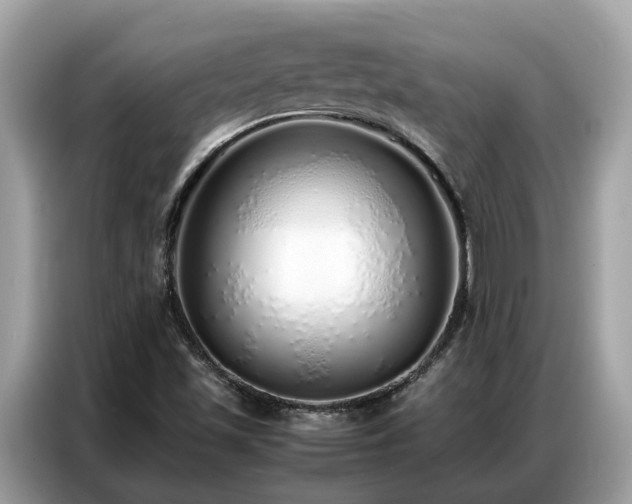 X0000087361501200704271428