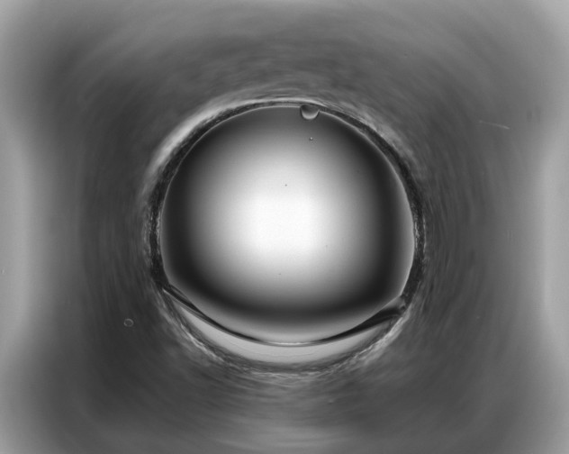 X0000087361502200704271428