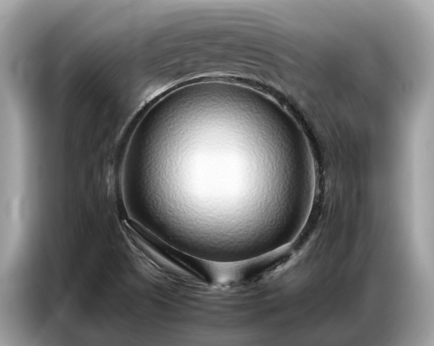 X0000087361505200704271428