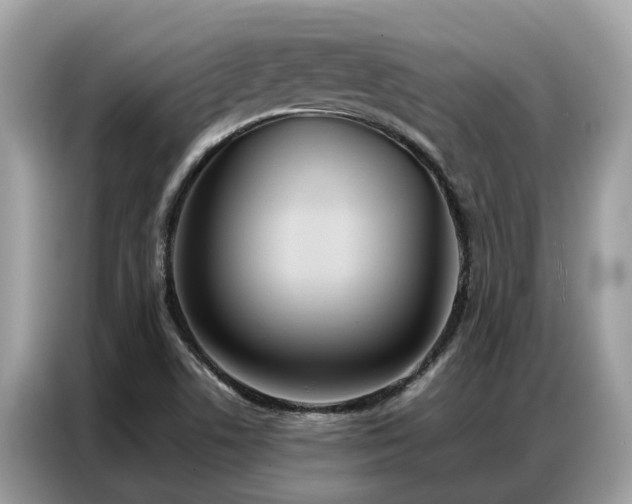 X0000087361506200704271428