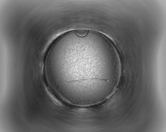 X0000087361507200704271428