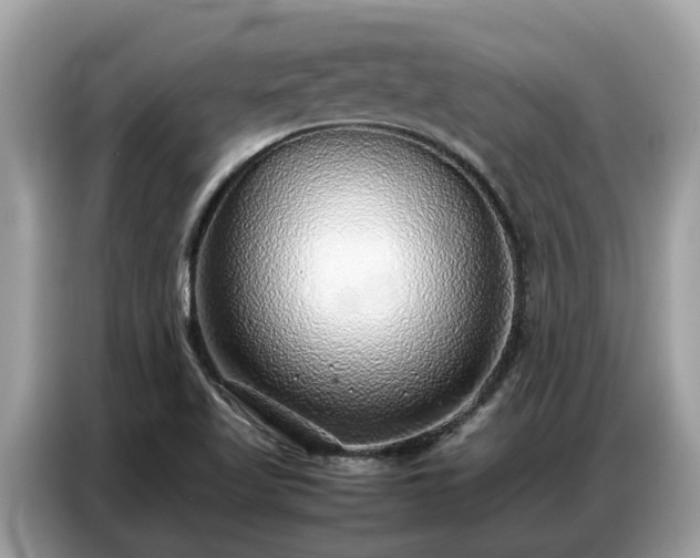 X0000087361509200704271428