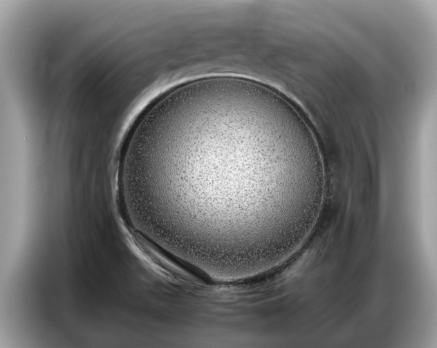 X0000087361511200704271428
