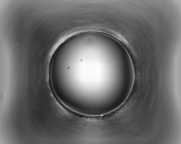 X0000087361512200704271428