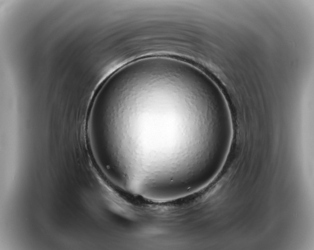 X0000087361513200704271428