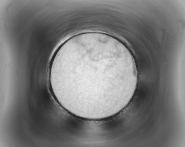 X0000087361514200704271428