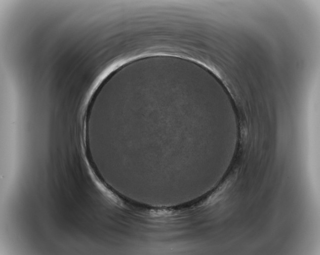 X0000087361515200704271428