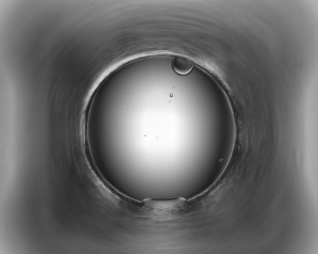 X0000087361516200704271428