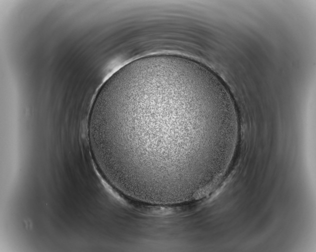 X0000087361521200704271428