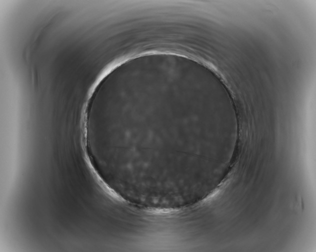 X0000087361522200704271428