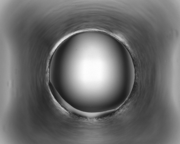 X0000087361524200704271428