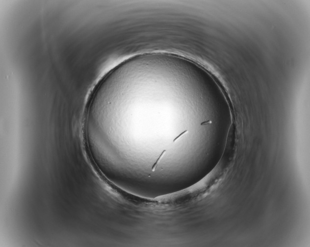 X0000087361525200704271428
