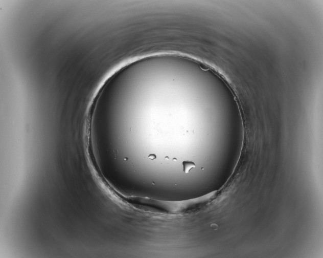 X0000087361526200704271428