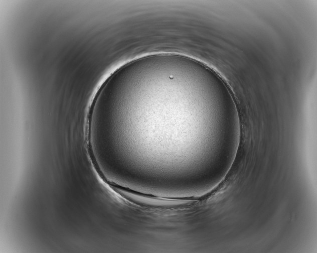X0000087361527200704271428