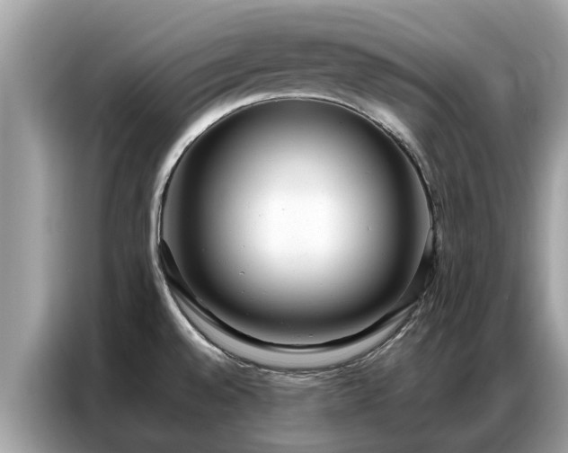X0000087361528200704271428