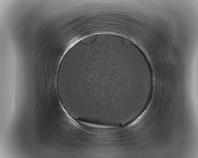 X0000087361529200704271428