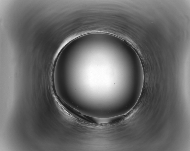 X0000087361530200704271428