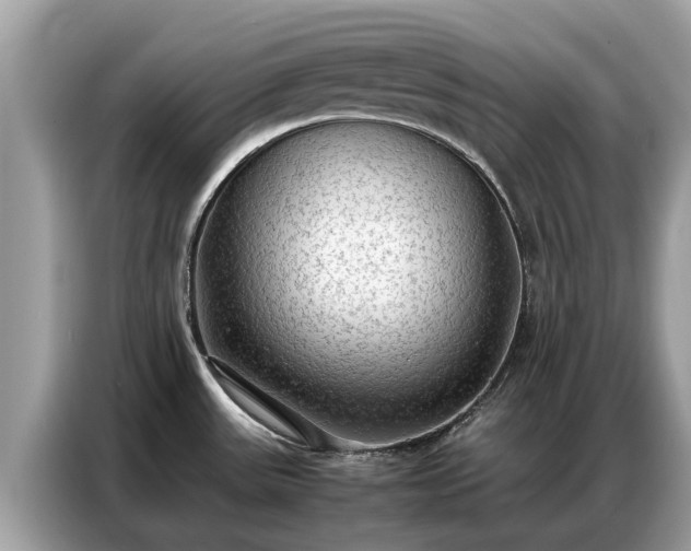 X0000087361531200704271428