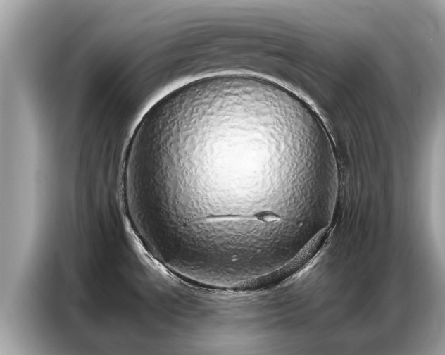X0000087361534200704271428
