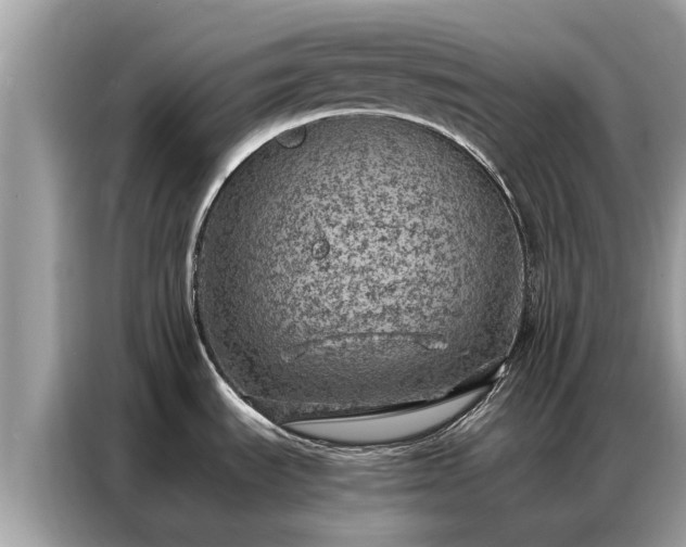 X0000087361535200704271428