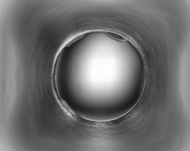 X0000087361536200704271428