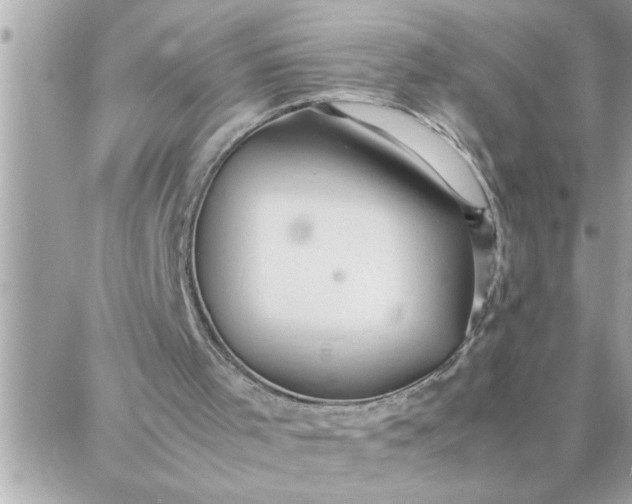 X0000087360001200705041907