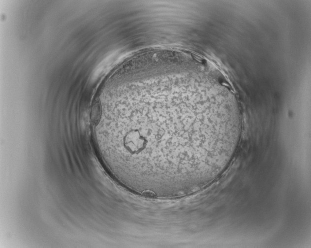 X0000087360002200705041907