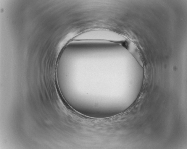 X0000087360003200705041907