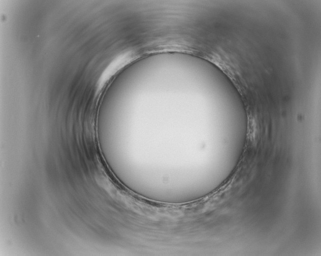 X0000087360004200705041907