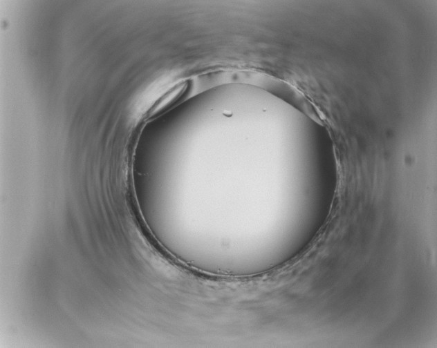 X0000087360005200705041907